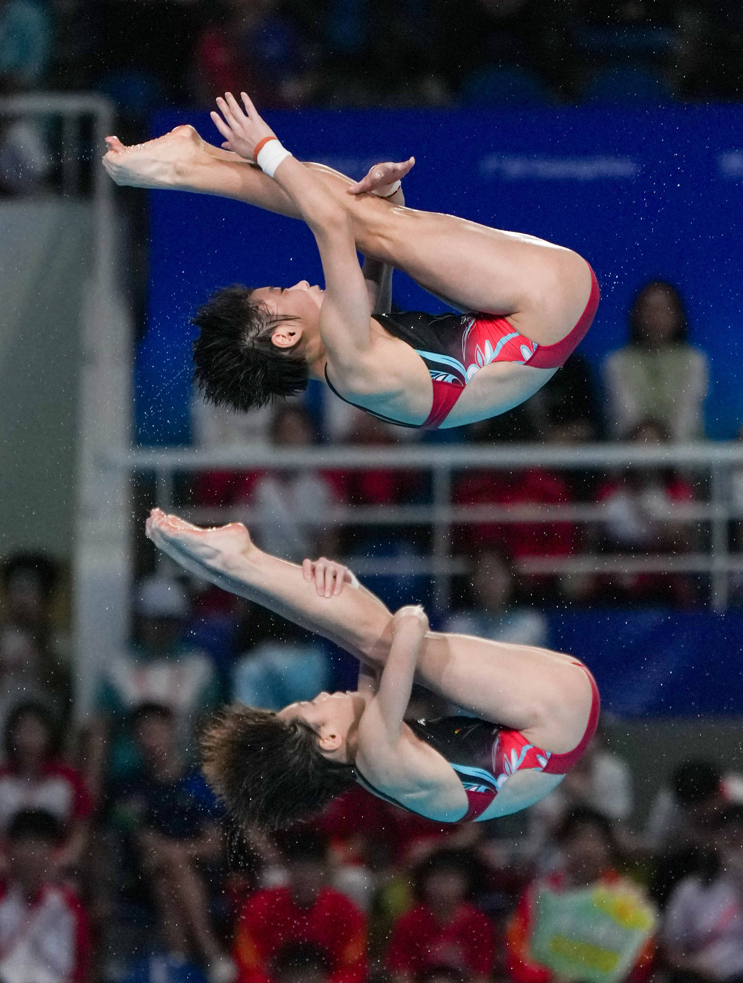 跳水比赛中菲律宾选手实力抢眼 跳水比赛中菲律宾选手实力抢眼